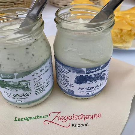 Appartamento Kapitaenshaus Bad Schandau Esterno foto