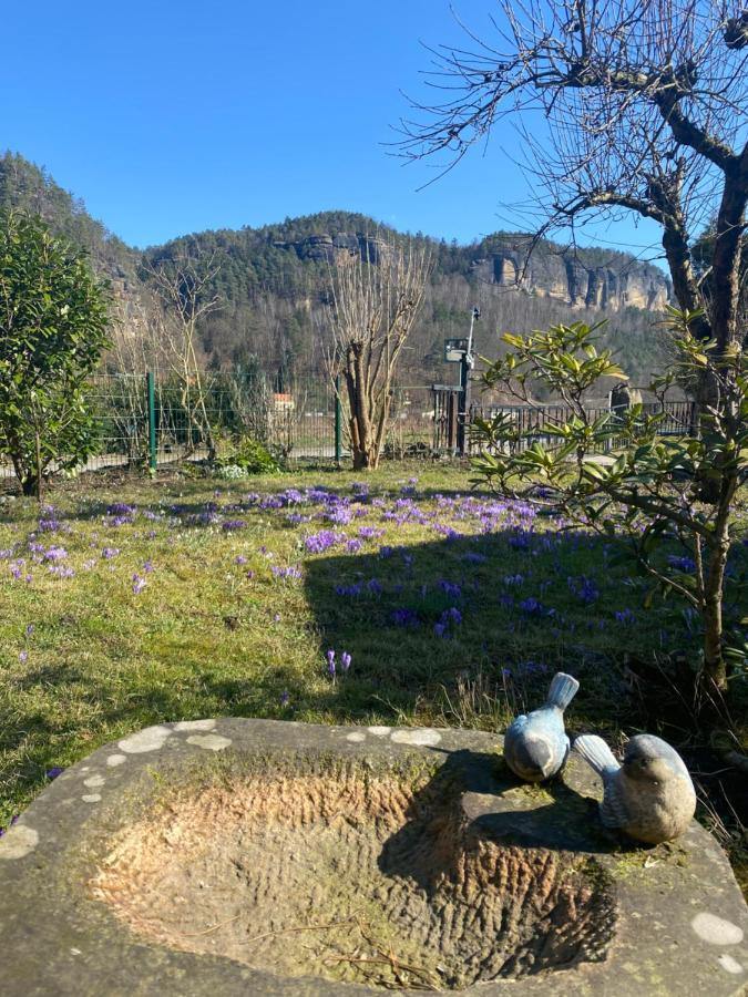 Kapitaenshaus Séjour chez l'habitant Bad Schandau